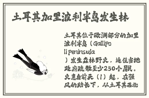 云鹰拿枪奖励自己核心图